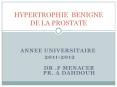 ANNEE UNIVERSITAIRE PowerPoint PPT Presentation