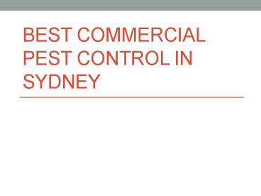 Best Commercial Pest Control in Sydney