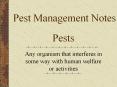 Pests PowerPoint PPT Presentation