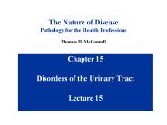 Disorders of the Urinary Tract