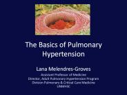The%20Basics%20of%20Pulmonary%20Hypertension