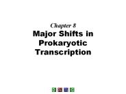 Chapter 8 Major Shifts in Prokaryotic Transcription