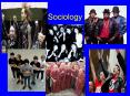 Sociology PowerPoint PPT Presentation