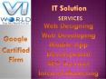 Website designing company in Noida India-visainfoworld.com (3)