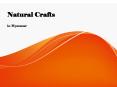 Natural Crafts PowerPoint PPT Presentation