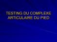 TESTING DU COMPLEXE ARTICULAIRE DU PIED PowerPoint PPT Presentation