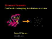 Structural Genomics: