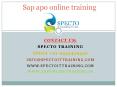 sap apo online training PowerPoint PPT Presentation