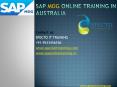 sap mdg online training in usa PowerPoint PPT Presentation