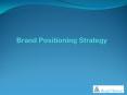 Brand Positioning Strategy PowerPoint PPT Presentation