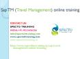 sap tm(travel management) online training in usa PowerPoint PPT Presentation