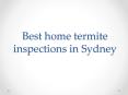 Best home termite inspections in Sydney by experts PowerPoint PPT Presentation