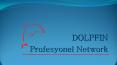 DOLPFIN Profesyonel Network PowerPoint PPT Presentation
