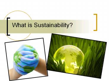 What is Sustainability?