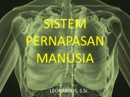 SISTEM PERNAPASAN MANUSIA