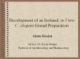 Development of an Isolated, in Vitro C. elegans Gonad Preparation PowerPoint PPT Presentation