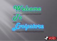 VOIP Accessories- Evoip Store