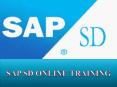 SAP SD Online Training Classes in INDIA, USA, UK, AUSTRILA, CANADA PowerPoint PPT Presentation