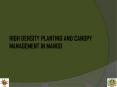 HIGH DENSITY PLANTING AND CANOPY MANAGEMENT IN MANGO PowerPoint PPT Presentation