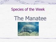 Species of the Week
