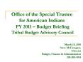 Office of the Special Trustee for American Indians FY 2011  PowerPoint PPT Presentation