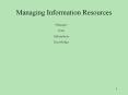 Managing Information Resources PowerPoint PPT Presentation