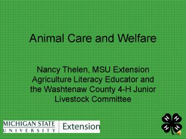 Animal Care and Welfare