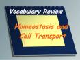 Vocabulary Review PowerPoint PPT Presentation