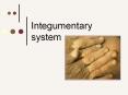 Integumentary system PowerPoint PPT Presentation