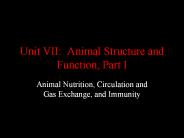 Unit VII: Animal Structure and Function, Part I