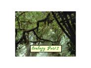 Ecology Part 2