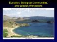 Evolution, Biological Communities, and Species Interactions PowerPoint PPT Presentation