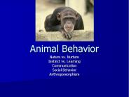 Animal Behavior