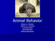 Animal Behavior PowerPoint PPT Presentation