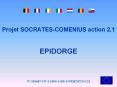 Projet SOCRATES-COMENIUS action 2.1  EPIDORGE PowerPoint PPT Presentation