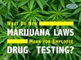 What Do New Marijuana Laws Mean for Employee Drug Testing? PowerPoint PPT Presentation