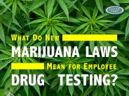 What Do New Marijuana Laws Mean for Employee Drug Testing?