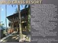 Wild Grass Resort PowerPoint PPT Presentation