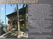 Wild Grass Resort