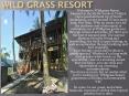 Wild Grass Resort (1) PowerPoint PPT Presentation