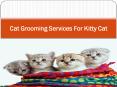 Cat Grooming Services For Kitty Cat PowerPoint PPT Presentation