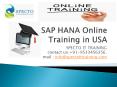 SAP HANA Online Training in USA PowerPoint PPT Presentation