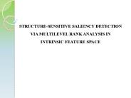 IEEE 2015 MATLAB STRUCTURE-SENSITIVE SALIENCY DETECTION.pptx