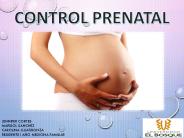 Prenatal control