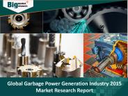 Deep Research Report on Garbage Power Generation Industry