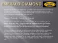 Emerald Cut Diamonds Houston (1)