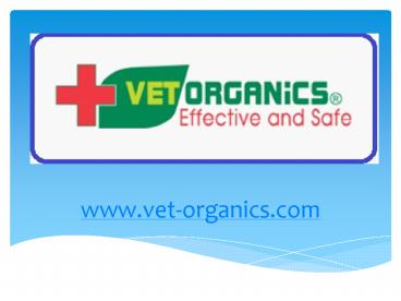 Cat Ear Infections: Diagnosis – Symptoms - Treatment