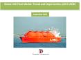 Global LNG Fleet Market: Trends and Opportunities (2015-2019) - New Report by Daedal Research PowerPoint PPT Presentation