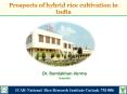 Prospects of hybrid rice cultivation in India PowerPoint PPT Presentation