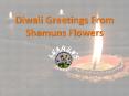 Diwali Greetings From Shamuns Flowers PowerPoint PPT Presentation